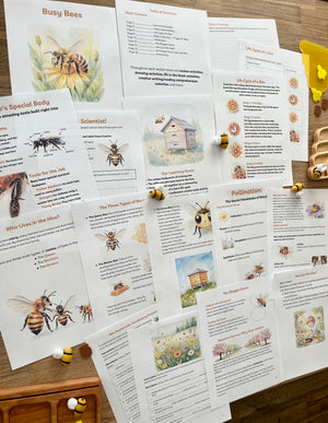 Digital Download | Bees Unit Study featuring illustrated educational pages on bee anatomy, life cycle stages, pollination, and hive roles arranged on a wooden surface with felt bee figures, handcrafted homeschool educational resources.