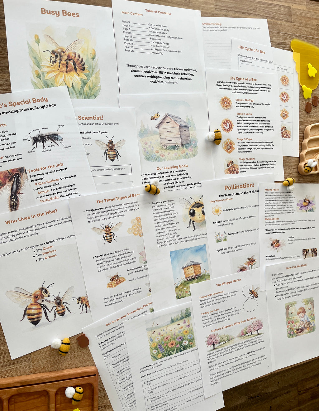 Digital Download | Bees Unit Study featuring illustrated educational pages on bee anatomy, life cycle stages, pollination, and hive roles arranged on a wooden surface with felt bee figures, handcrafted homeschool educational resources.