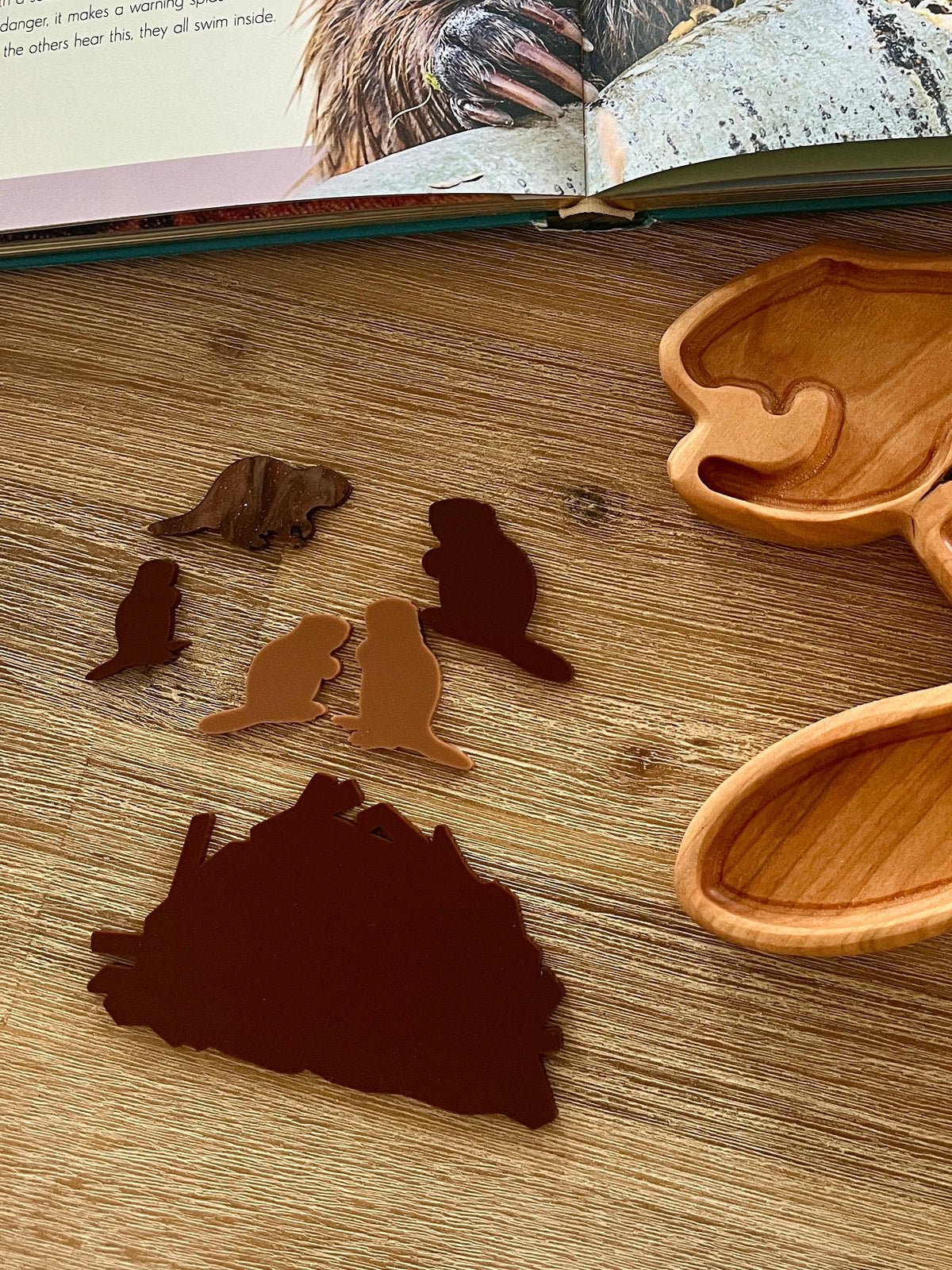Little Dry Erasables - Beavers with Dam featuring handcrafted wooden beaver silhouettes and dam shape, displayed with a wooden tray and nature book, homeschool education resources.