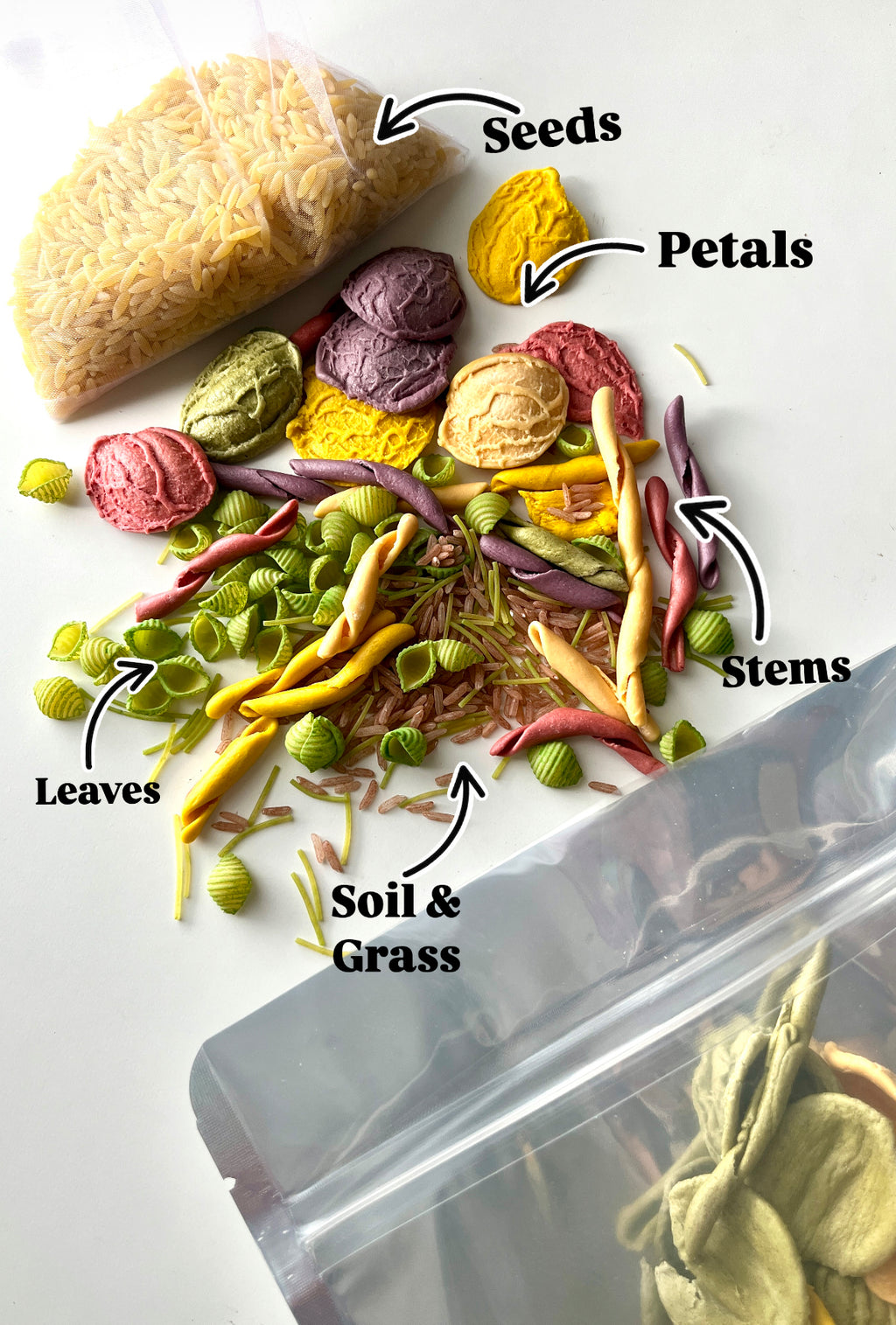 Assorted colorful plant-themed clay pieces labeled as seeds, petals, stems, leaves, and soil scattered near plastic bags on white surface