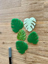 Little Dry Erasables - Tropical Leaves