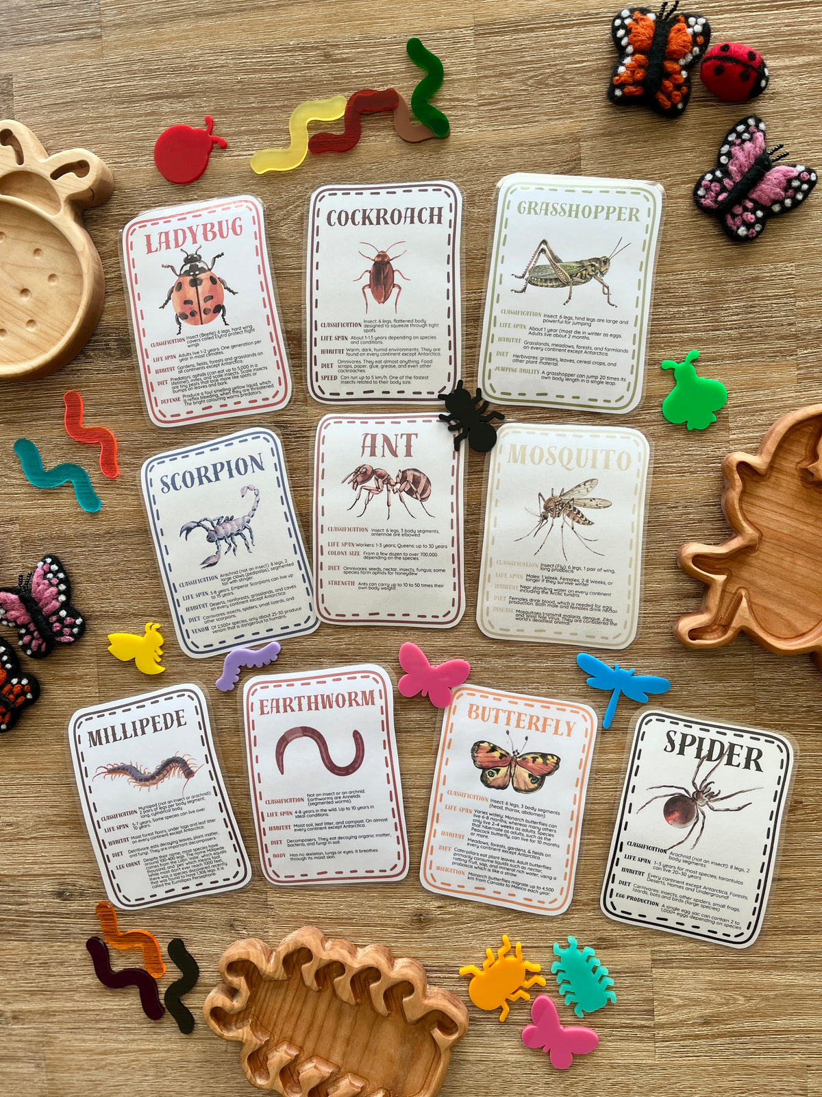 Set of illustrated insect and arachnid flash cards arranged on a wooden surface with colorful plastic bug figurines and wooden trays, Digital Download | Little Crawlers Informational Flash Cards | handcrafted, homeschool, education resources.