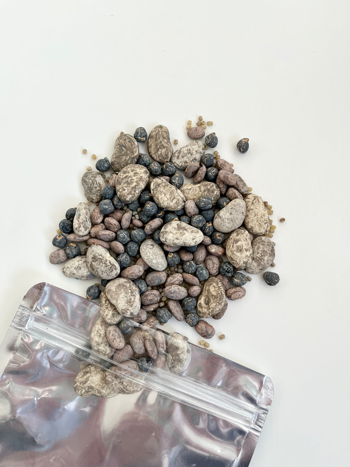 Mix of various dried beans and seeds spilled from a clear resealable pouch onto a white surface