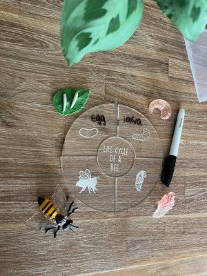 Dry Erasable Life Cycle Puzzles showing a circular clear puzzle with white life cycle stage illustrations of a bee, accompanied by detailed model insects and a black dry erase marker, handcrafted homeschool educational resources.