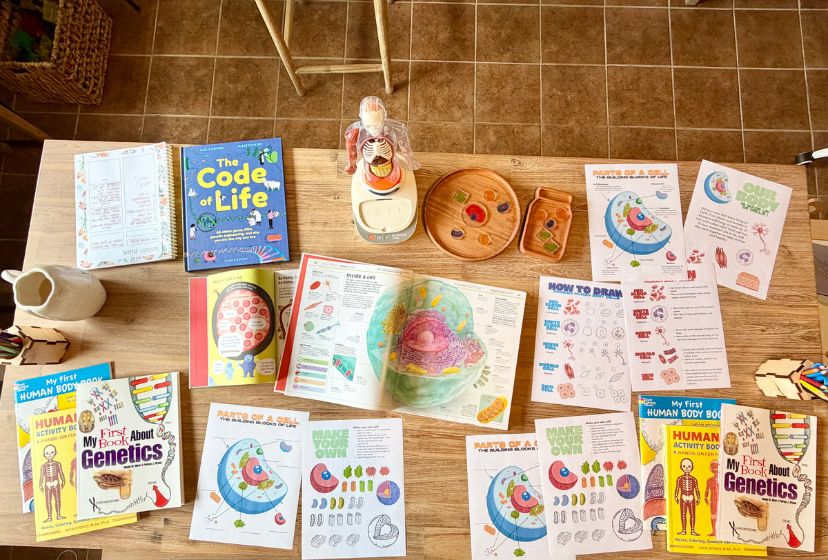Digital Download | Our Body is Made up of Cells! Mini Unit Study