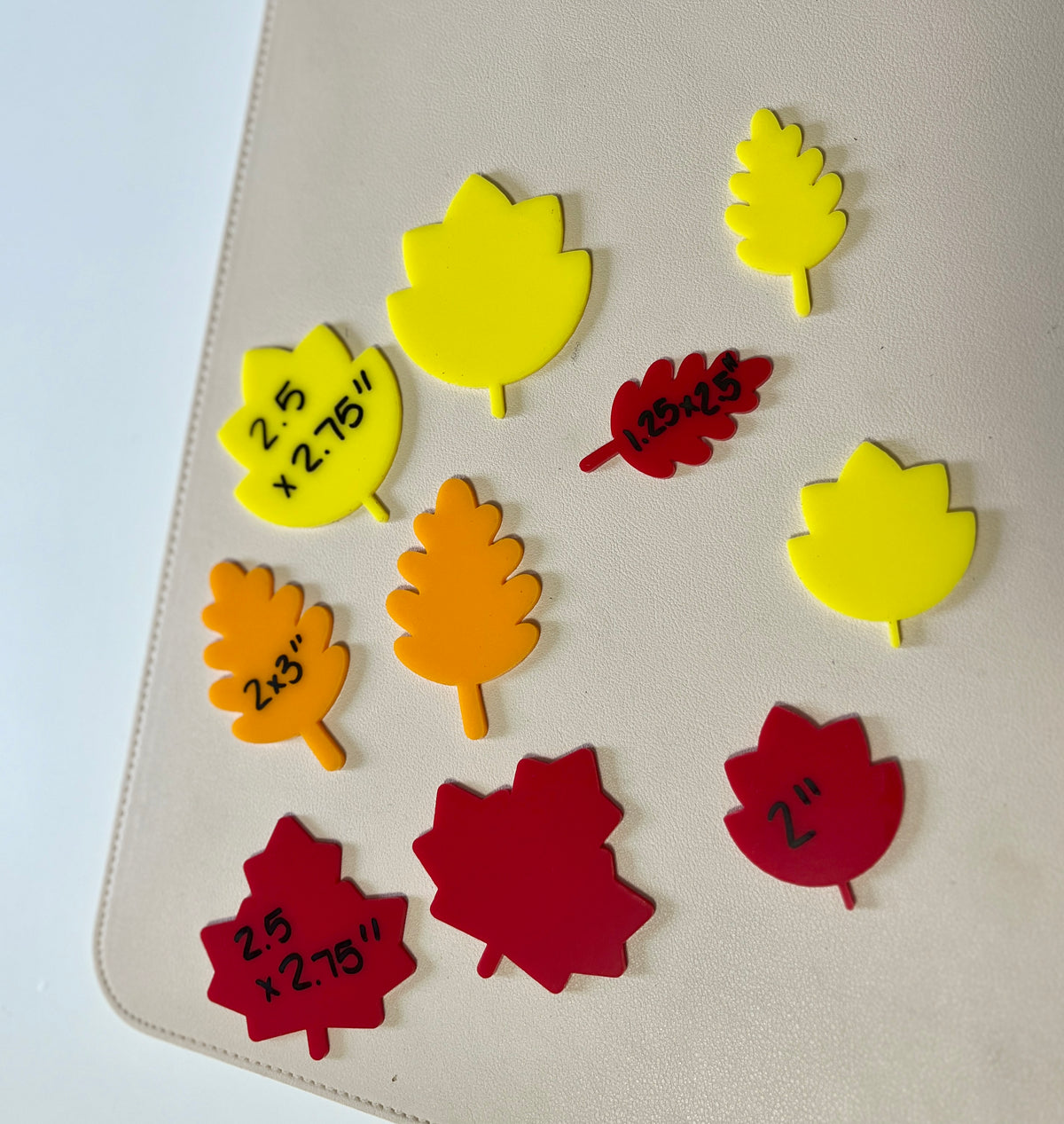 Assorted yellow, orange, and red leaf-shaped cutouts with handwritten size markings on a beige surface
