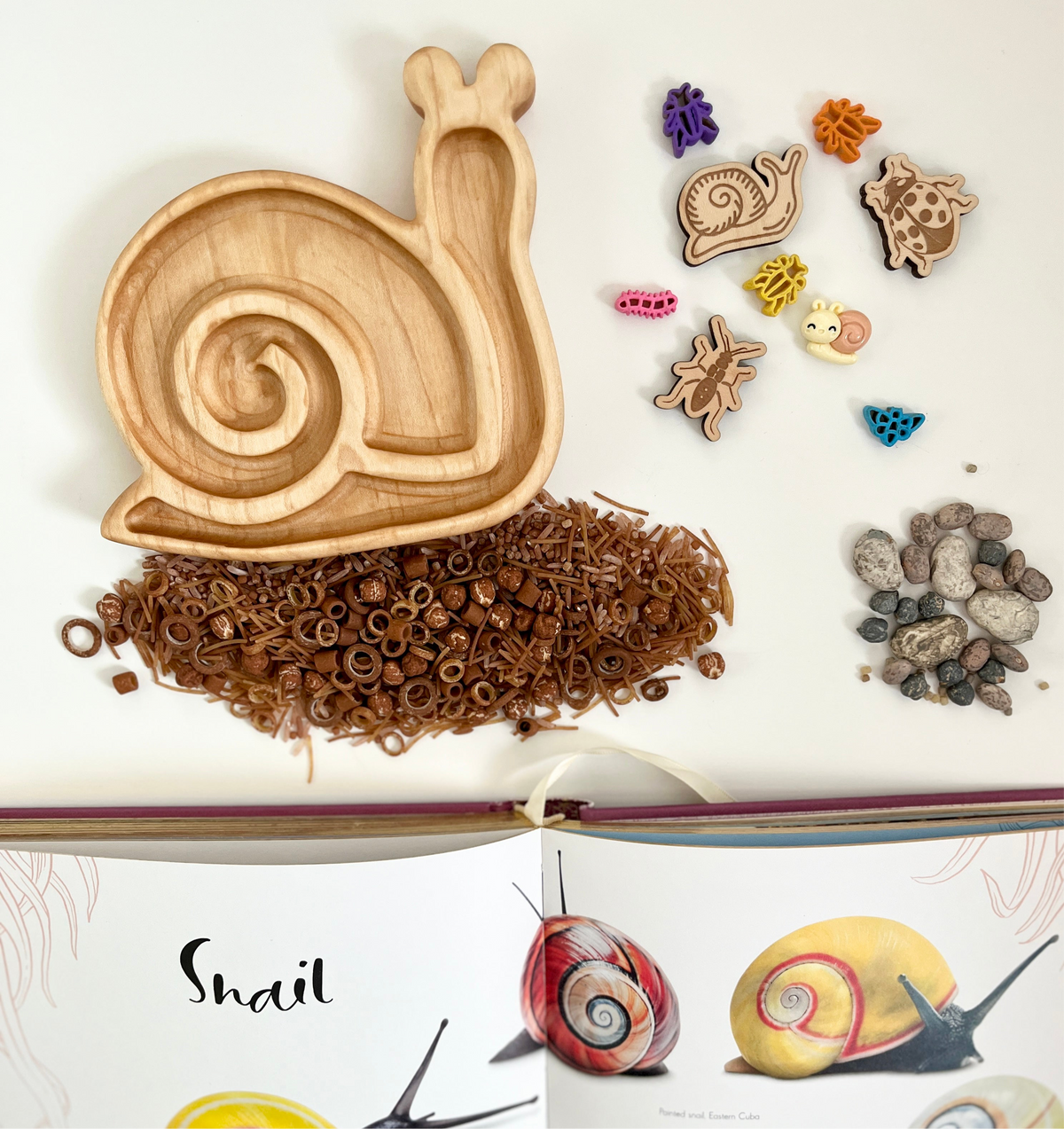 Wooden snail-shaped tray next to natural brown sensory materials, small snail toys, pebbles, and an open book about snails