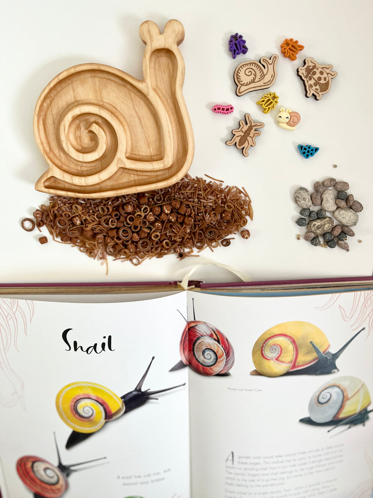 Wooden snail-shaped tray on natural brown sensory materials with small bug toys, pebbles, and an open snail illustration book