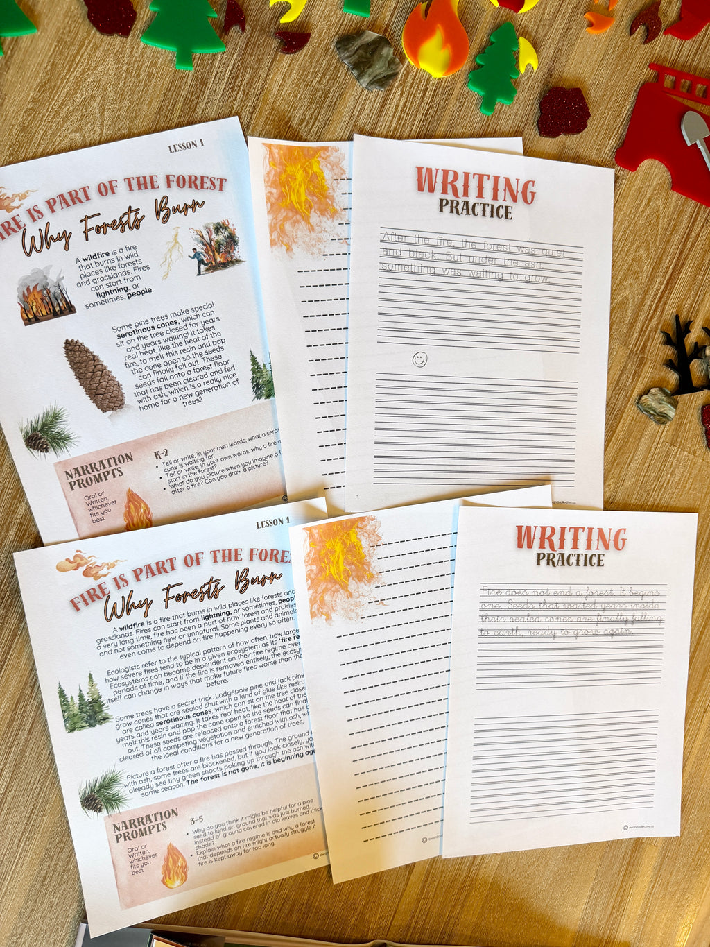 Digital Download | A Wildfire Ecology Unit Study