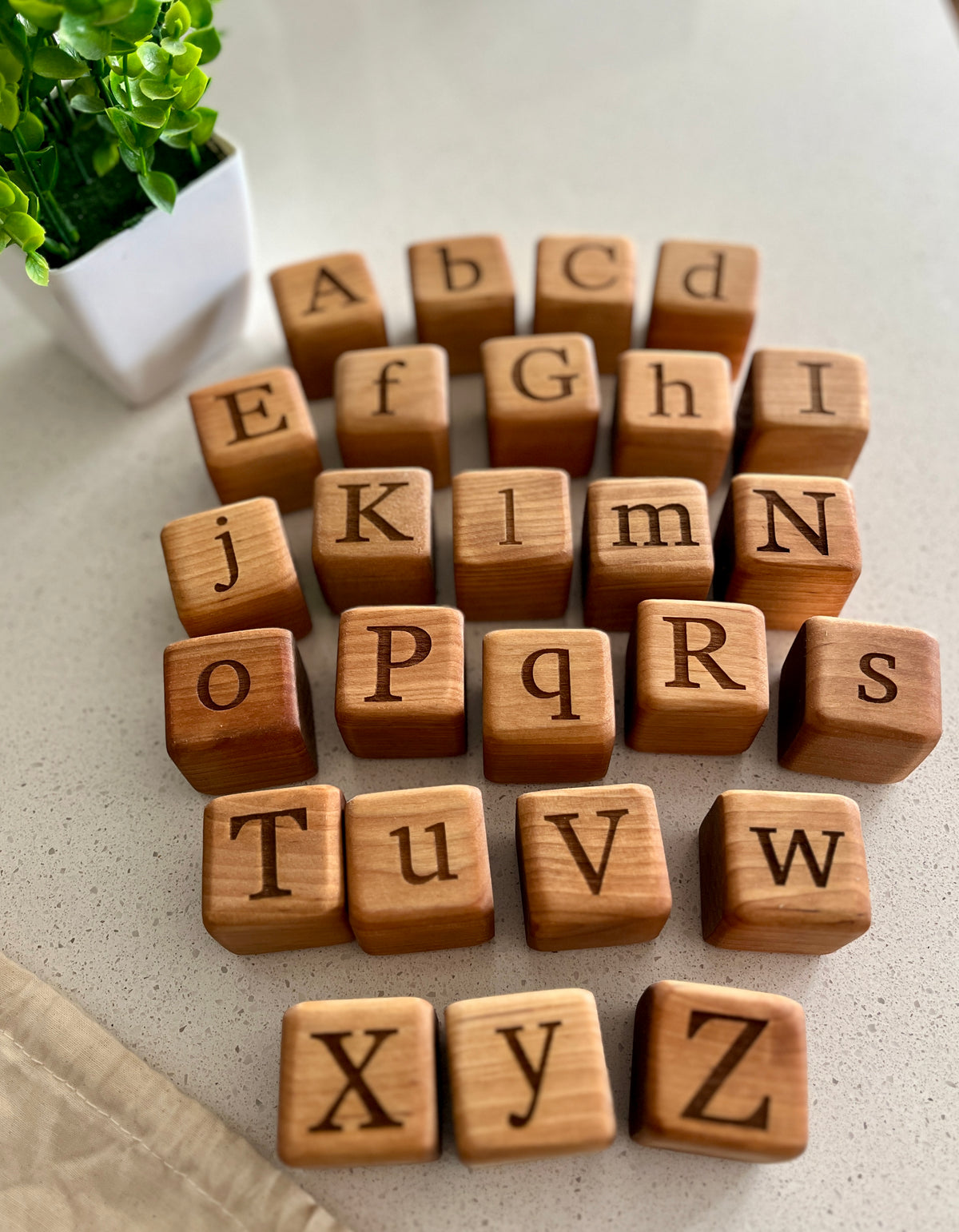 Wooden alphabet blocks with engraved uppercase and lowercase letters arranged on a beige surface near a small potted plant