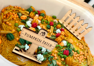 Wooden pumpkin patch sign surrounded by colorful dried pasta shapes and miniature pumpkins in a white container