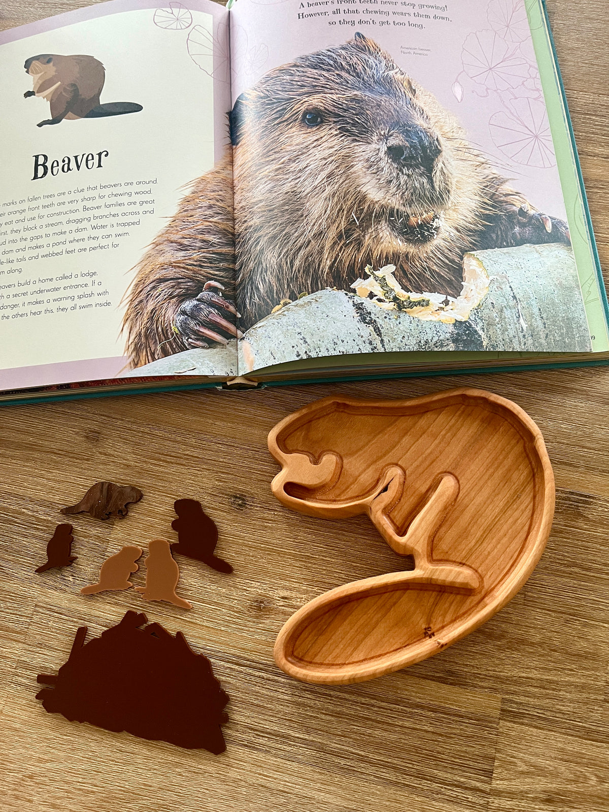 Beaver Plate / Sensory Tray featuring a handcrafted wooden tray shaped like a beaver alongside small wooden silhouettes of beavers and a nature-themed educational book, homeschool resources.