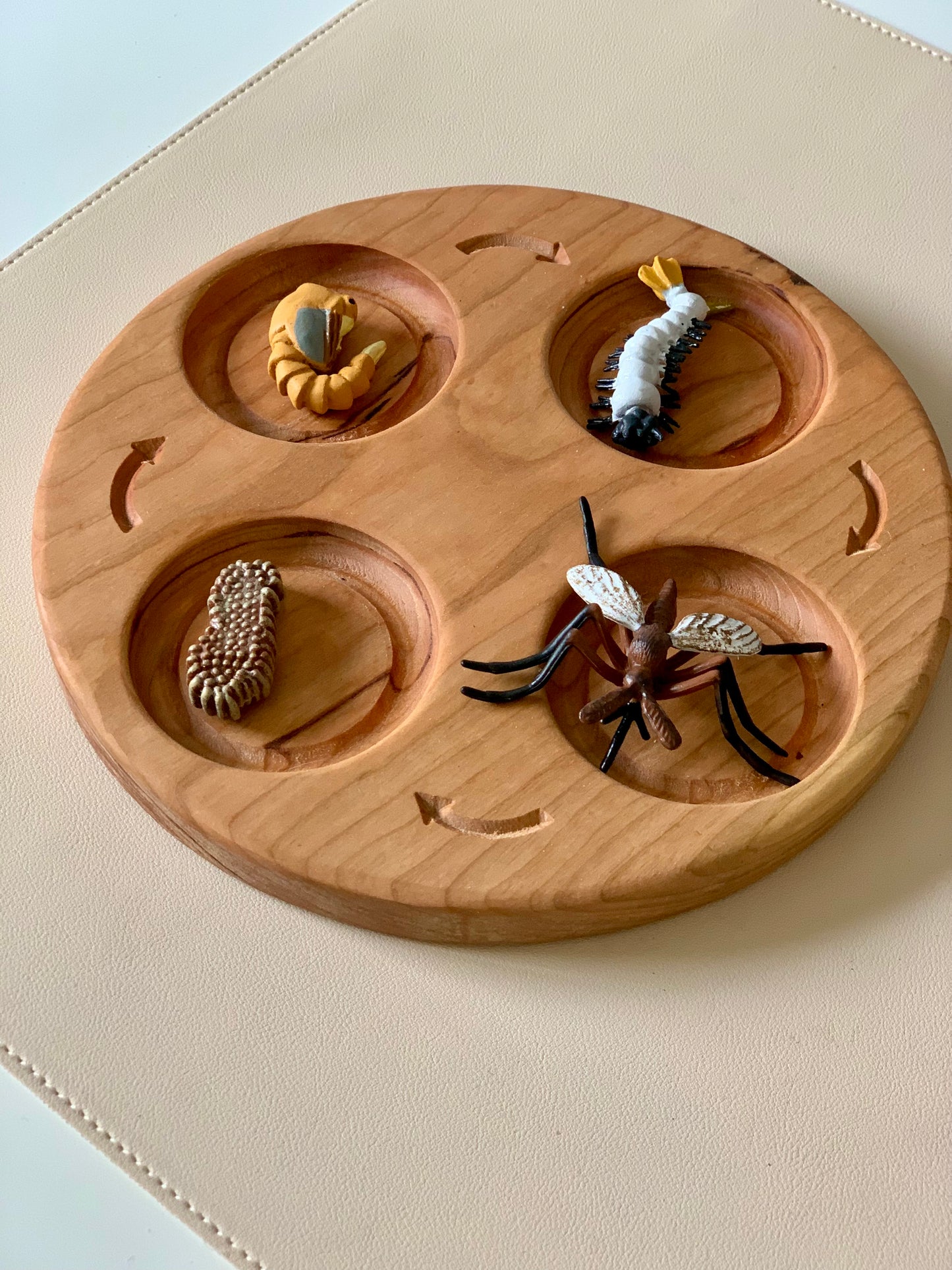 Mosquito Life Cycle Figurines