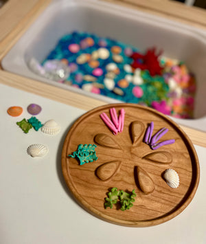 Wooden tray with felt seaweed shapes, white seashells, and colorful sensory materials near a sensory bin with beads and shells.