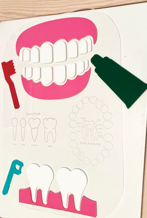 Flat illustration of a dental model with teeth, toothbrush, toothpaste, and floss pick on a white background