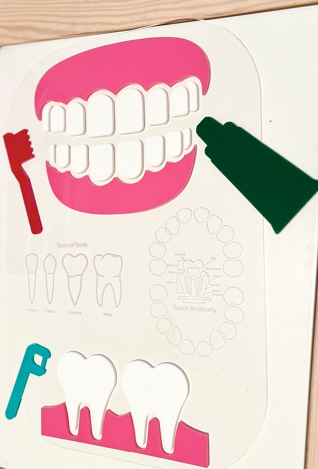Flat illustration of a dental model with teeth, toothbrush, toothpaste, and floss pick on a white background