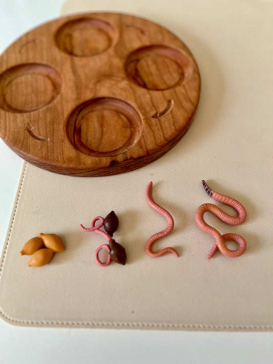 Worm Life Cycle Figurines