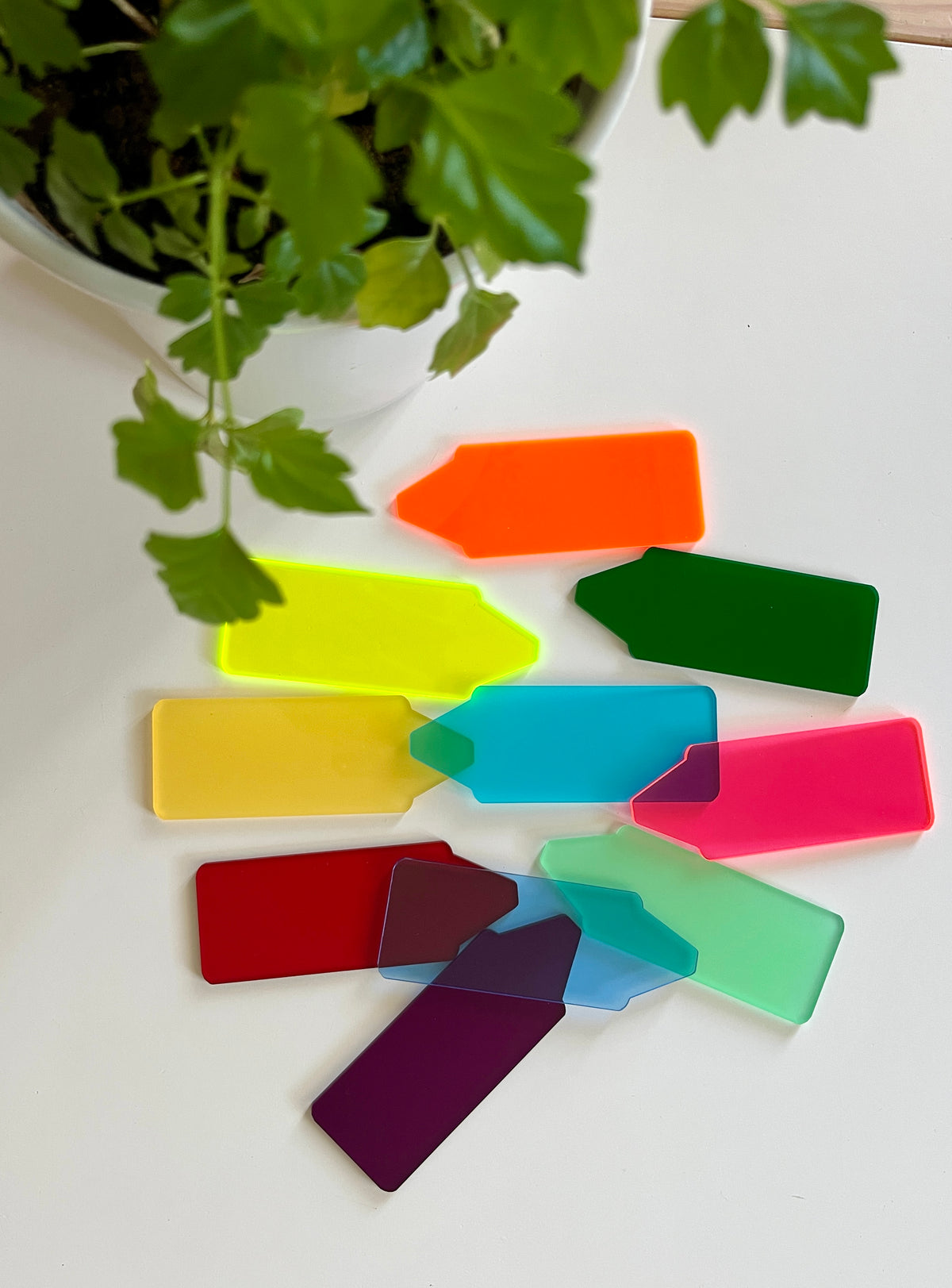 Brightly colored translucent acrylic plant markers arranged beside a green leafy potted plant on white surface