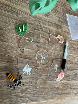 Dry Erasable Life Cycle Puzzles featuring clear interlocking pieces with white line illustrations showing stages of a bee’s life cycle, paired with realistic model insects and a dry erase marker, handcrafted homeschool education resources.