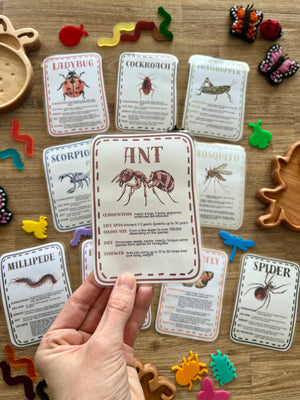 Hand holding an illustrated ant card with detailed insect facts, surrounded by other insect and arachnid flash cards, wooden trays, and colorful plastic bug figurines for Digital Download | Little Crawlers Informational Flash Cards | handcrafted, homeschool, education resources.