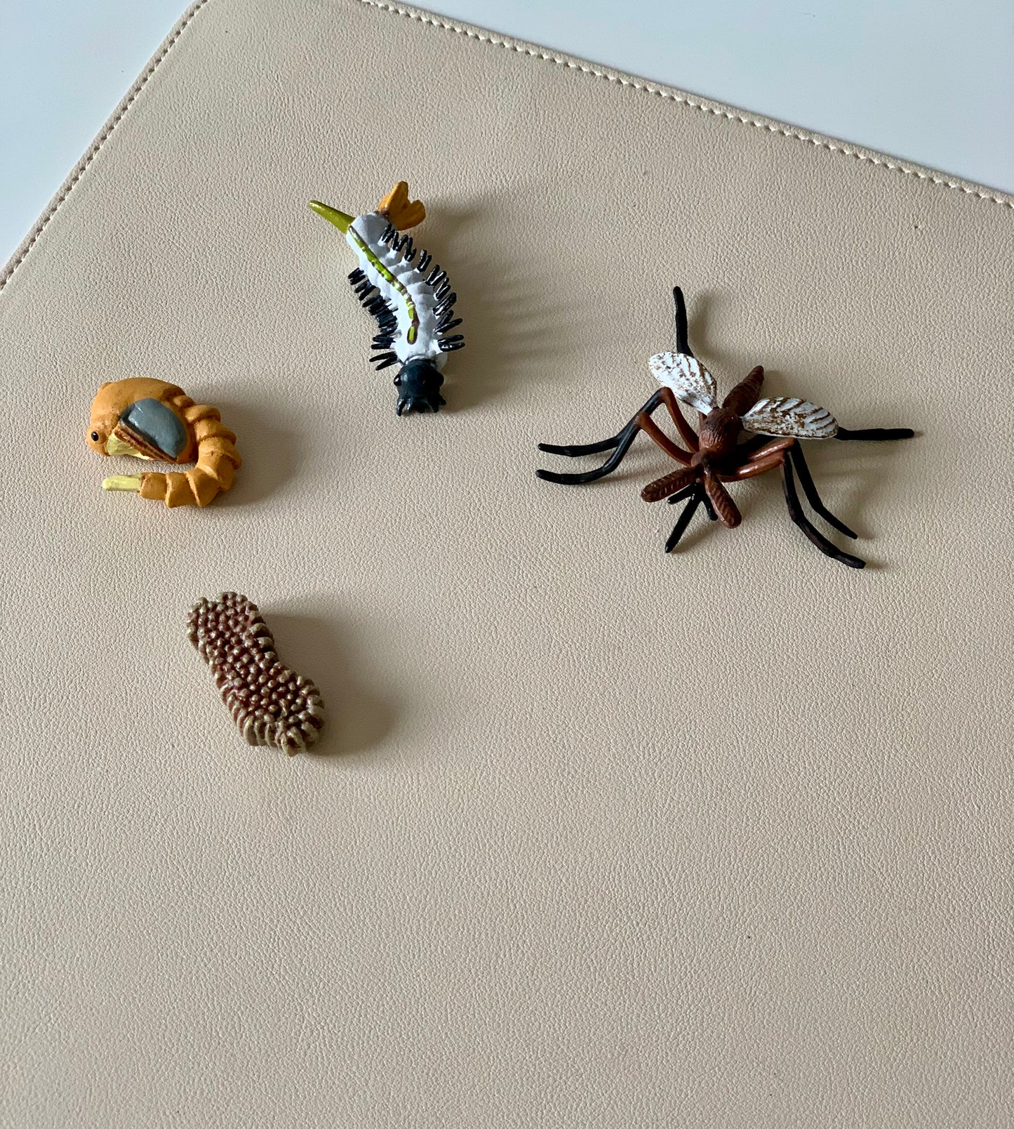 Mosquito Life Cycle Figurines