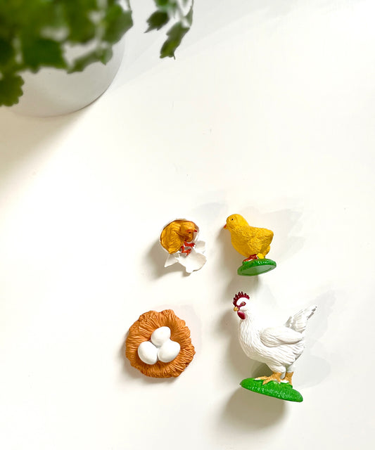 Chicken Life Cycle Figurines