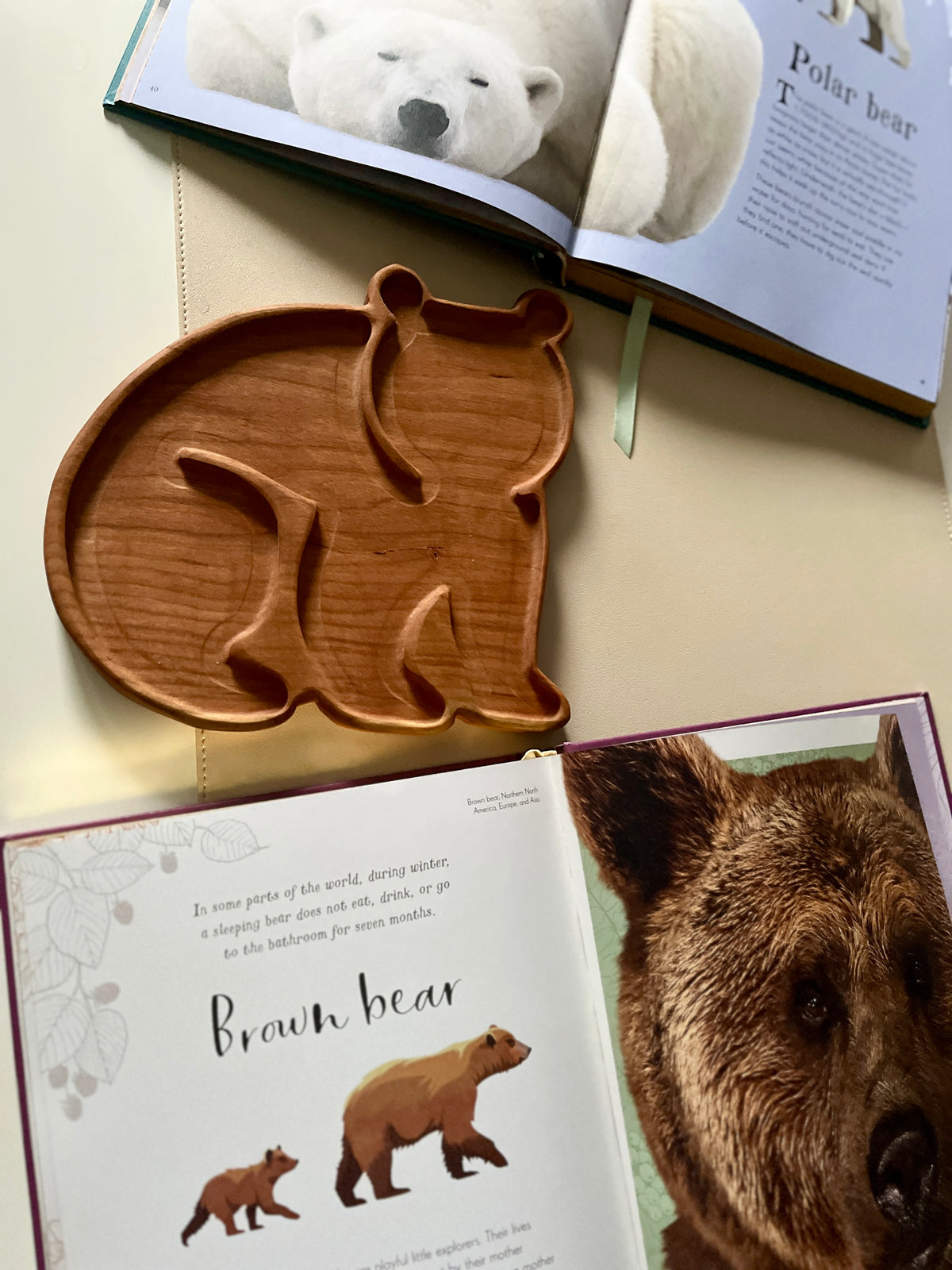 Carved wooden tray shaped like a sitting bear placed between open books about polar and brown bears on beige surface