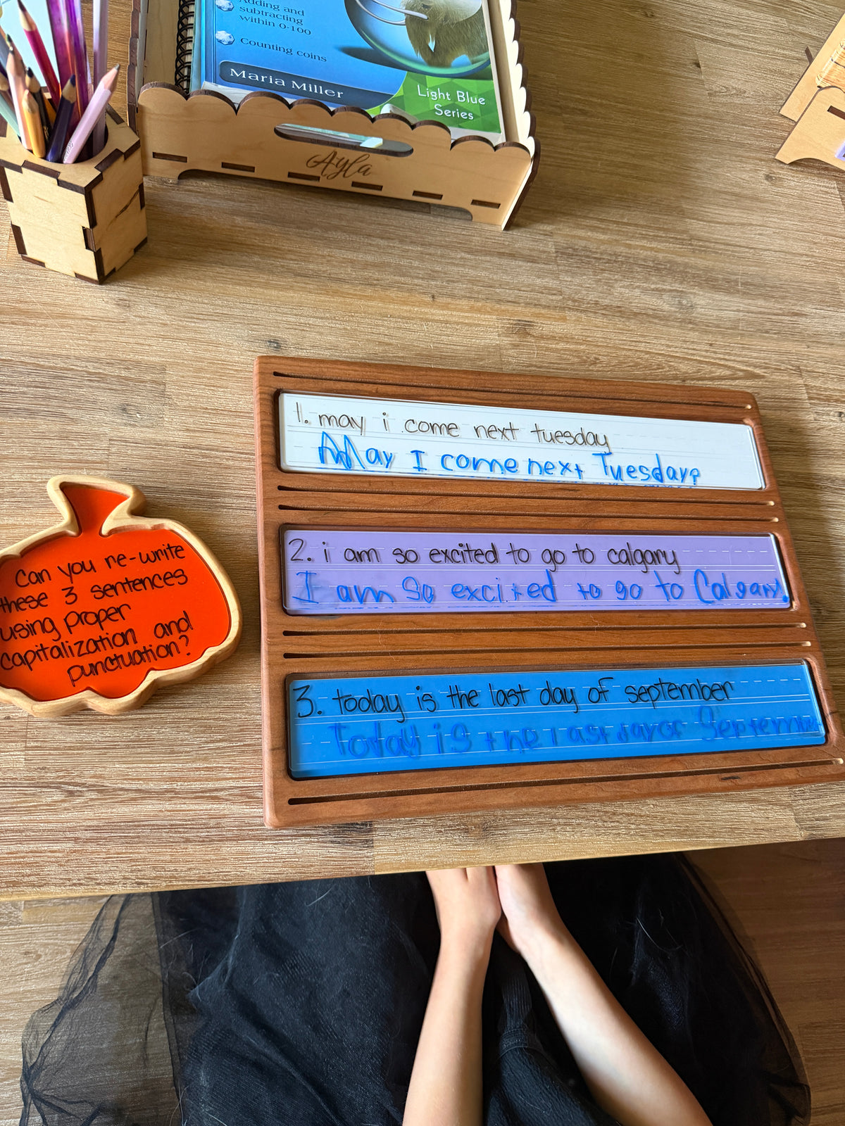Wooden Sentence & Learning Tray | Open Ended Literacy Board | Math & Play