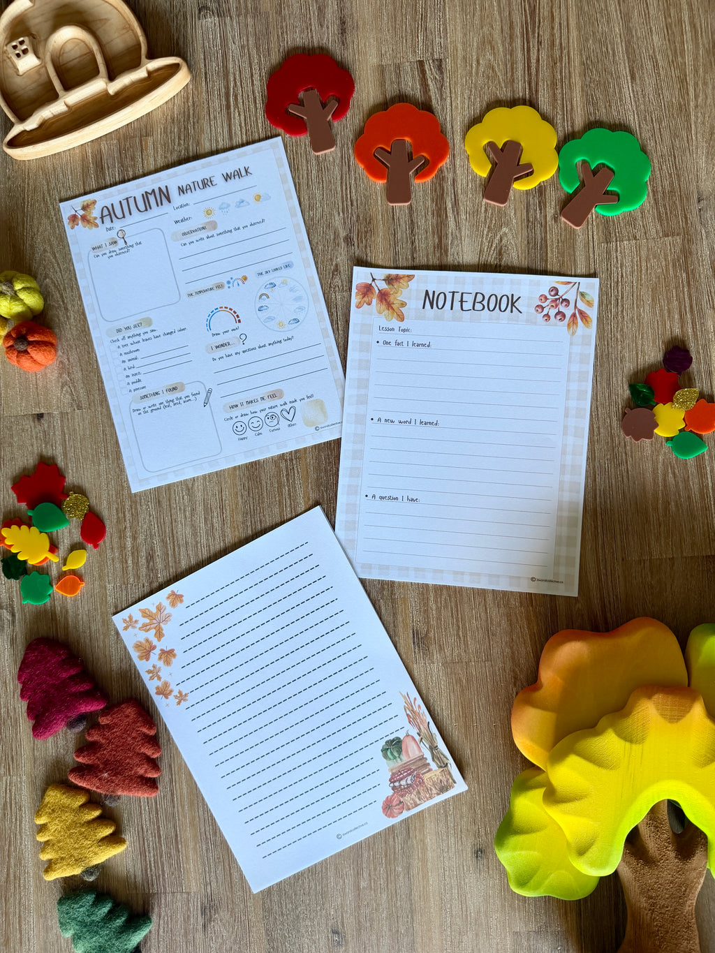 Digital Download | An Autumn Equinox Unit Study | Fall Season Unit Study