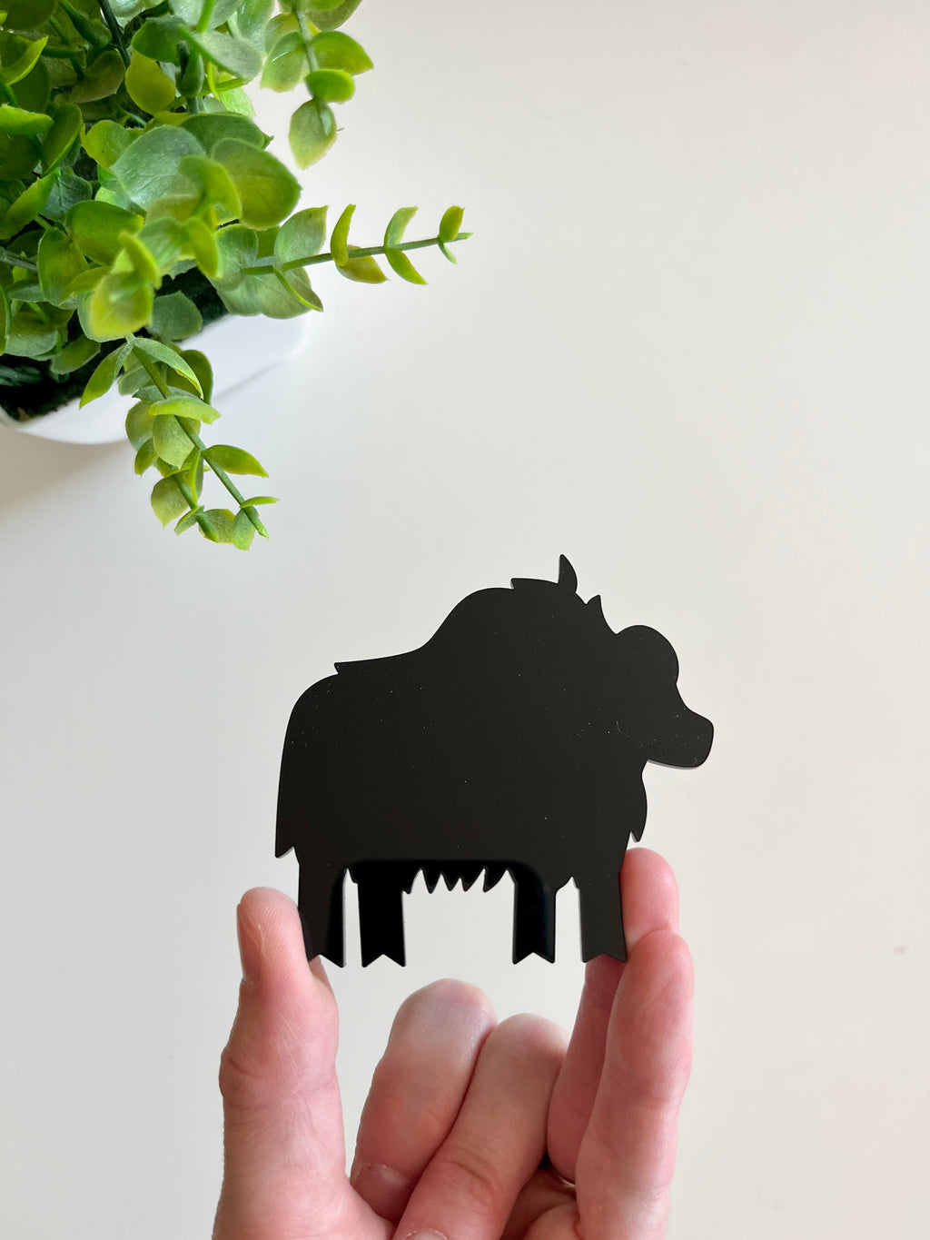 Hand holding a small black acrylic cutout shaped like a stylized buffalo with a green plant in the background