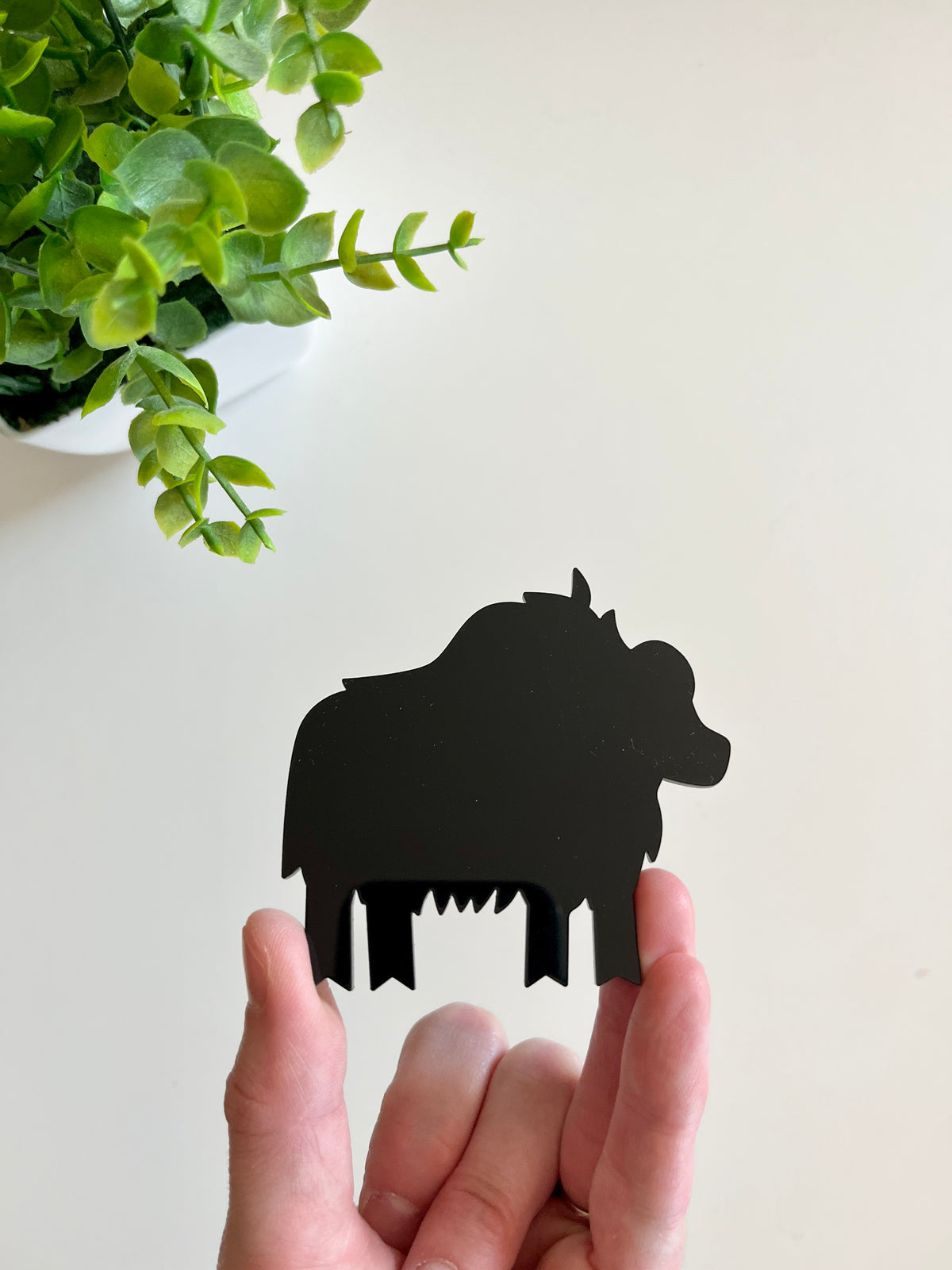 Hand holding a small black acrylic cutout shaped like a stylized buffalo with a green plant in the background