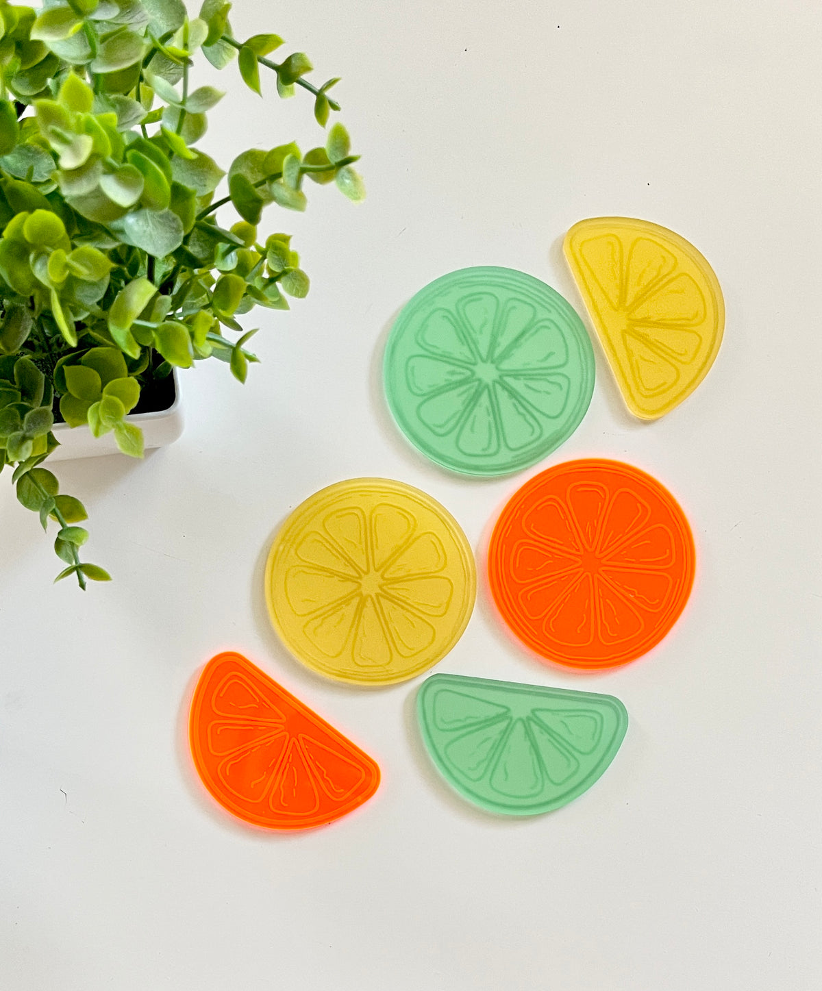 Translucent acrylic citrus slice shapes in green, yellow, and orange arranged near a small green potted plant on white surface
