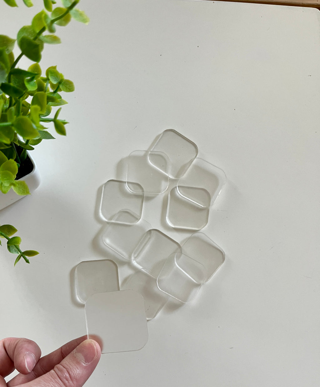 Hand holding a clear rounded square silicone pad above several others on a white surface near a green plant