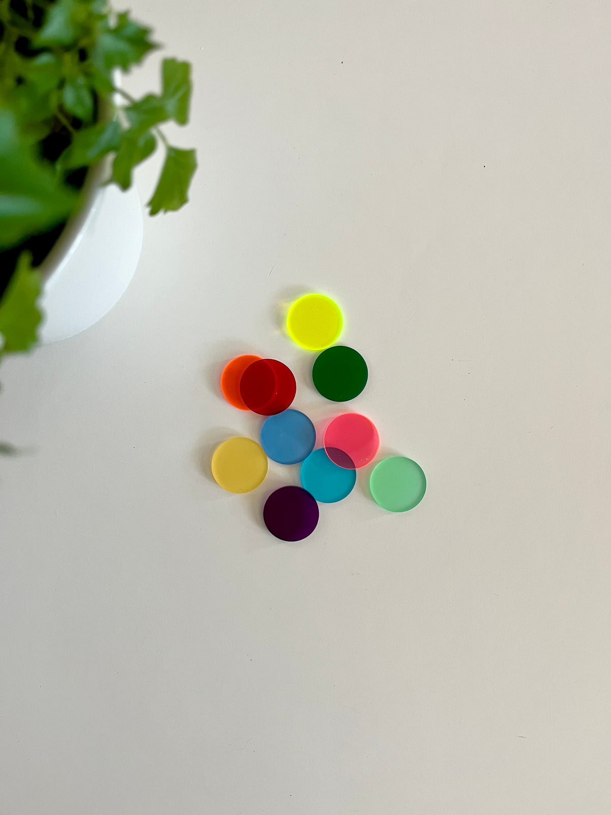 Assorted translucent colorful acrylic circles arranged loosely on a white surface with a green plant nearby