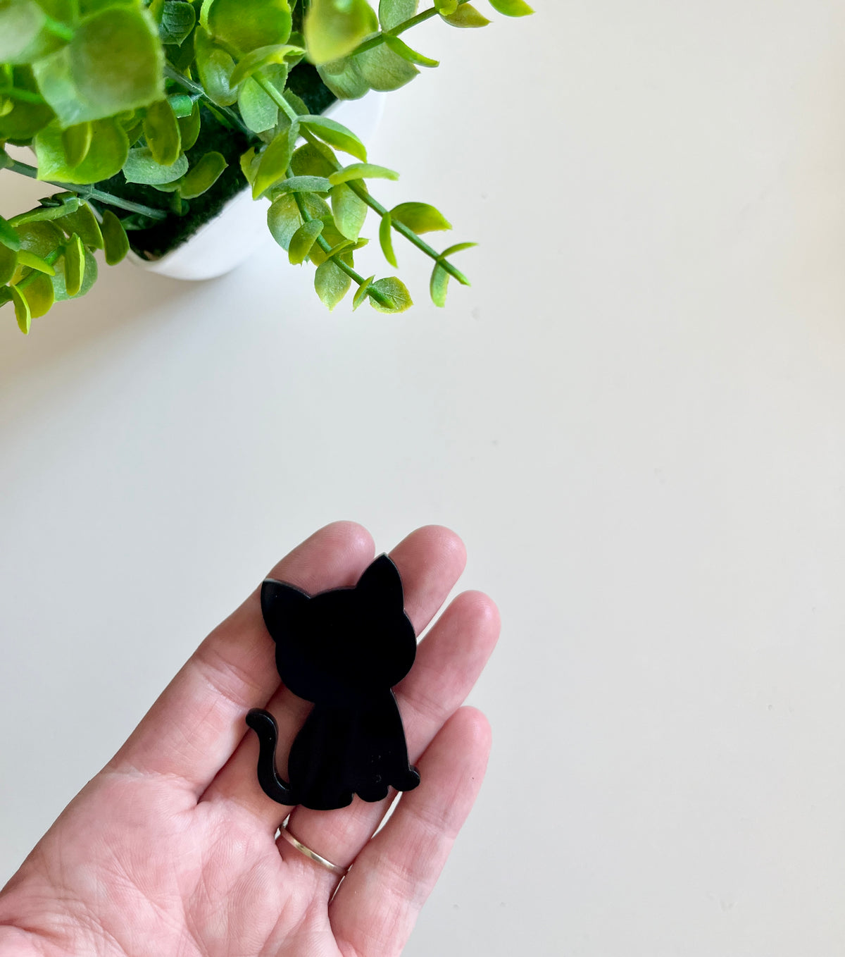 Hand holding a smooth black cat-shaped cutout with green leaves from a potted plant above on a light surface