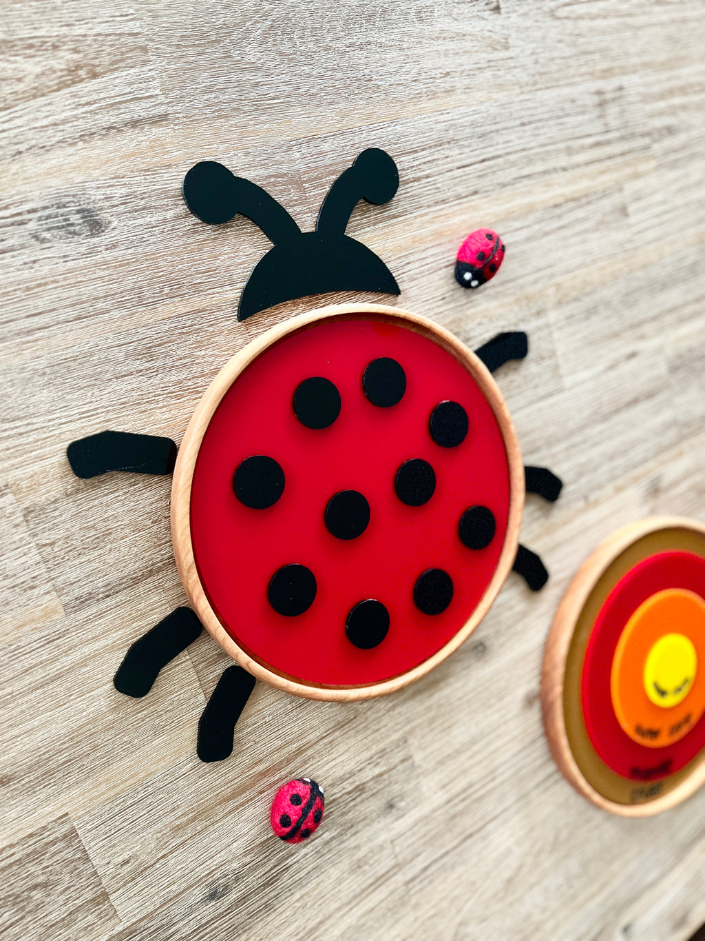 Large Circle Tray with Dry Erase Inserts / Basic Shape Plate featuring a handcrafted wooden ladybug with bold red and black dry erase surface, styled for homeschool, education resources.