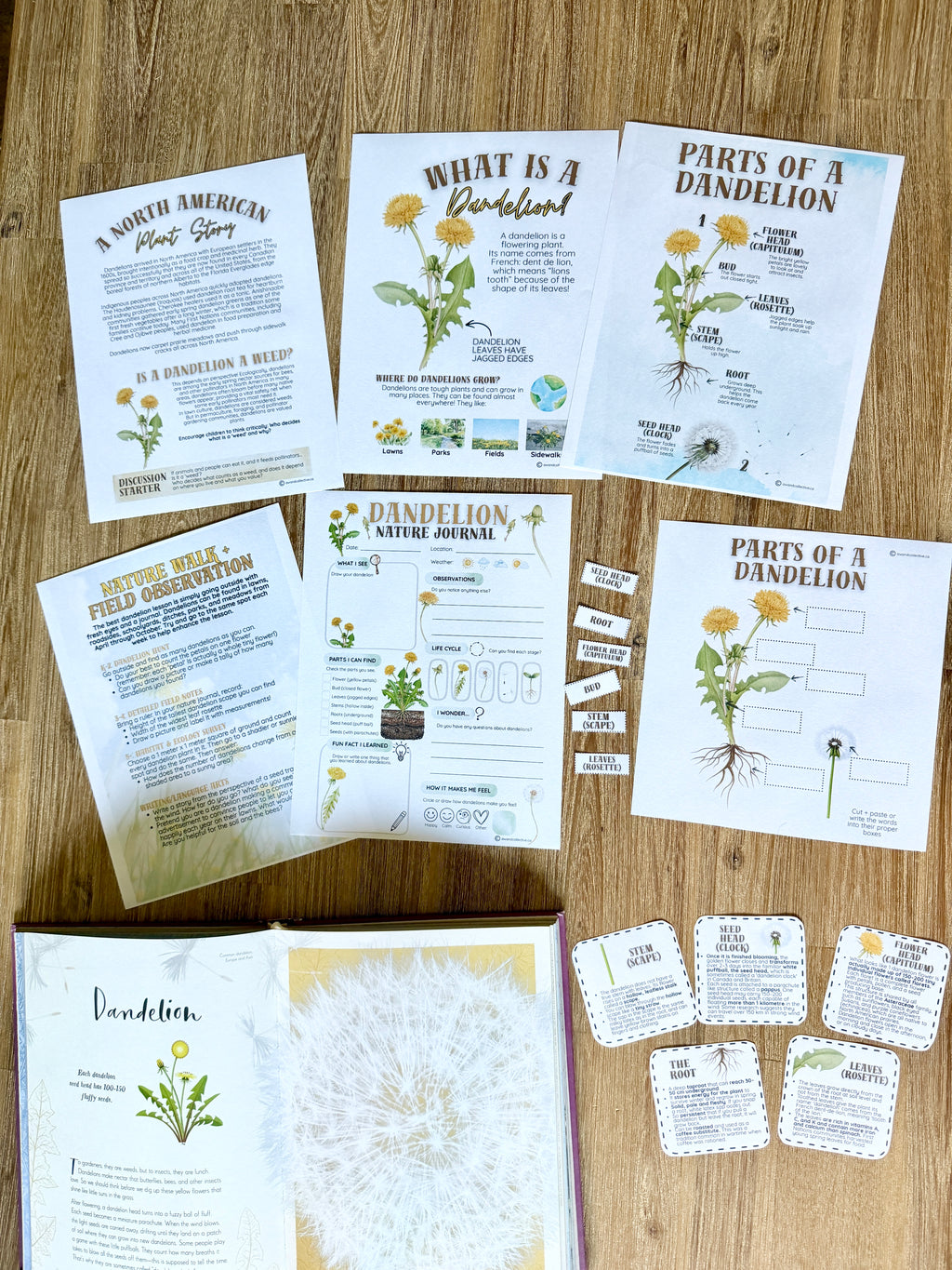 Digital Download | Dandelions Unit Study