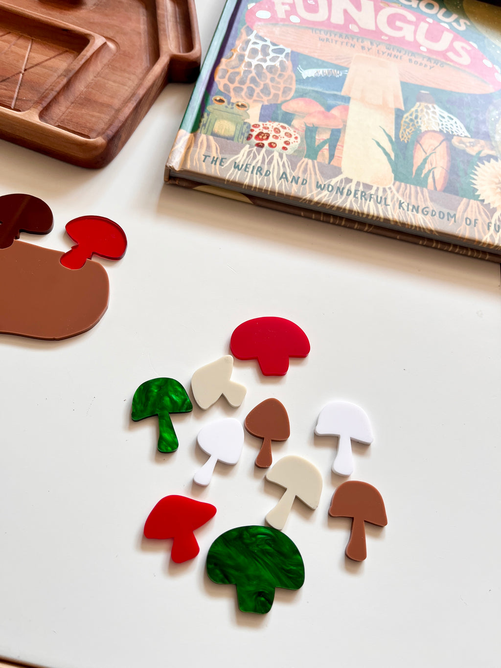 Little Dry Erasables - Set of Mushrooms (10)