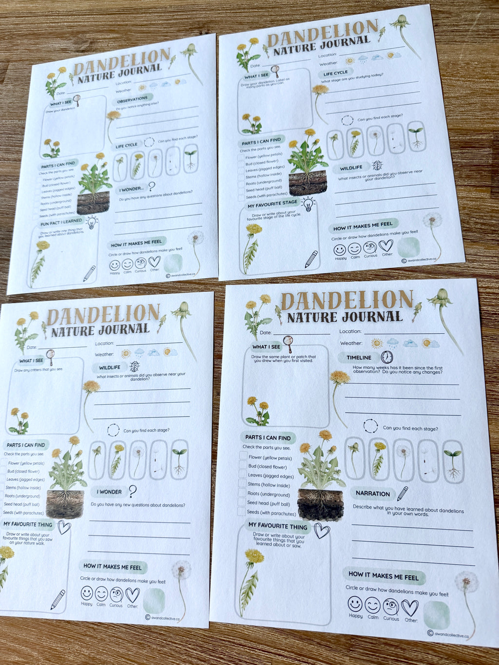 Digital Download | Dandelions Unit Study