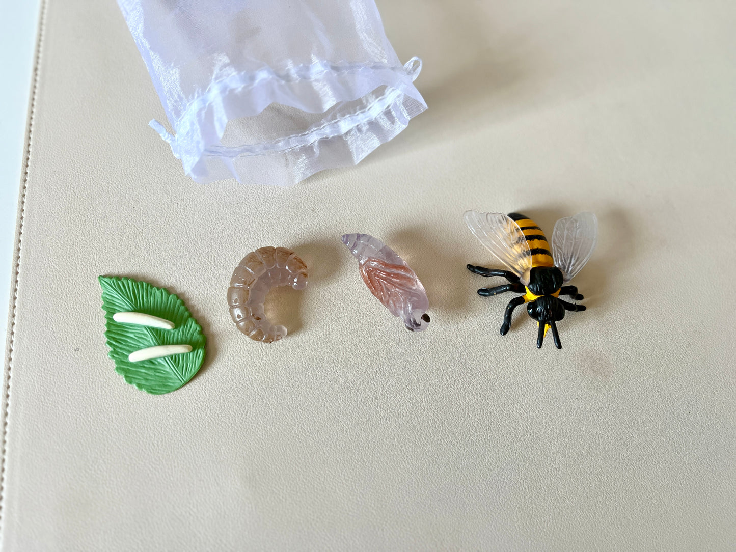 Bee Life Cycle Figurines