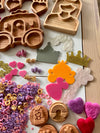Little Dry Erasables - Princess