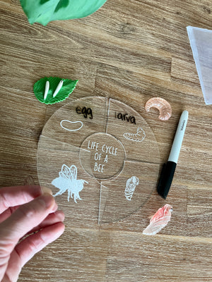 Dry Erasable Life Cycle Puzzles featuring a clear circular board with white life stage illustrations of a bee, egg, larva, and pupa, paired with realistic model insects and a dry erase marker, handcrafted homeschool education resources.