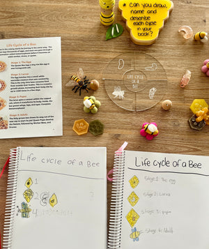 Digital Download | Bees Unit Study featuring handwritten life cycle of a bee pages, wooden trays with bee-shaped sensory fillers, and colorful felt bee figures, handcrafted homeschool education resources.