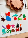 Little Dry Erasables - Vertebrates & Invertebrates