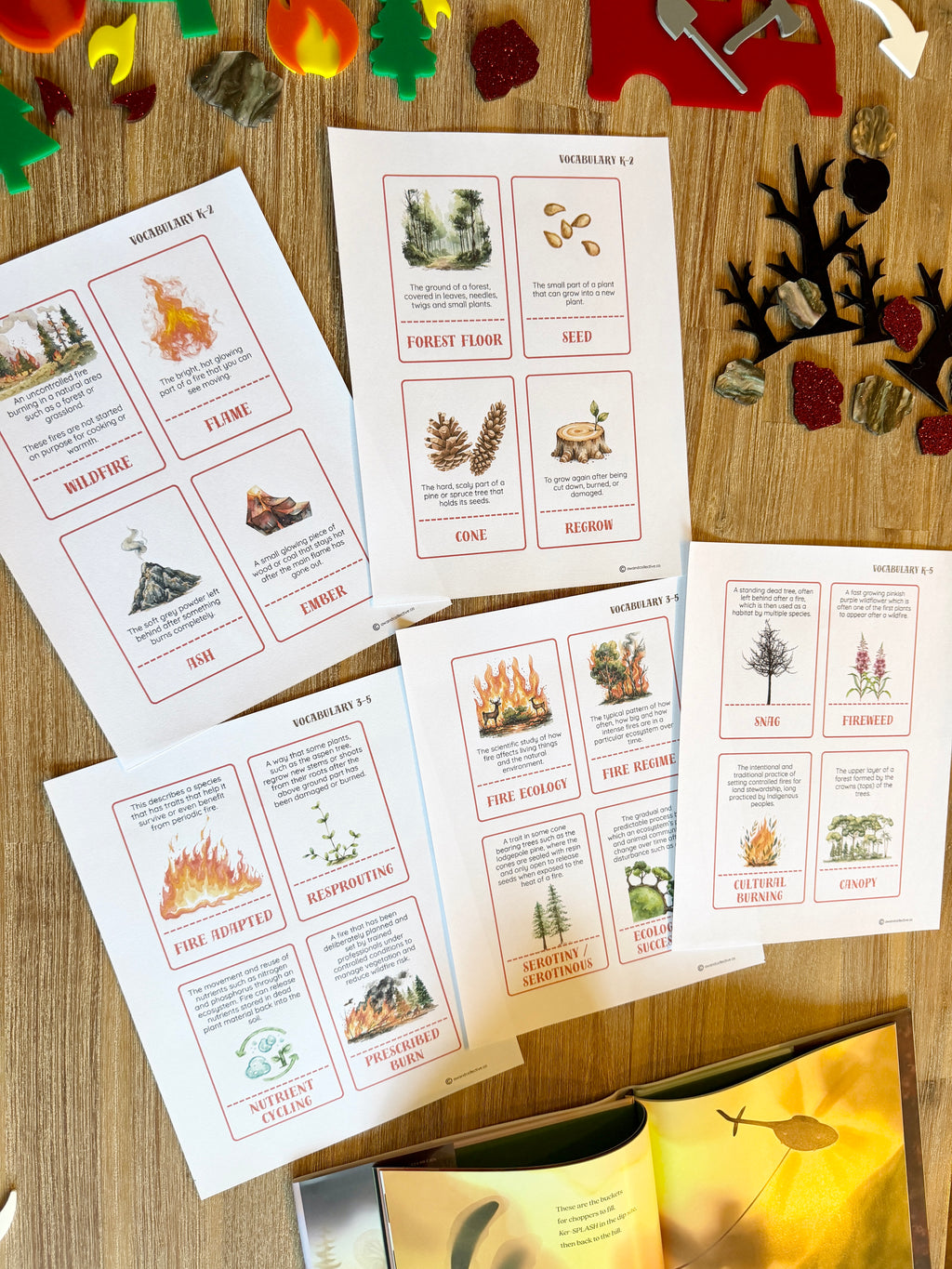 Digital Download | A Wildfire Ecology Unit Study