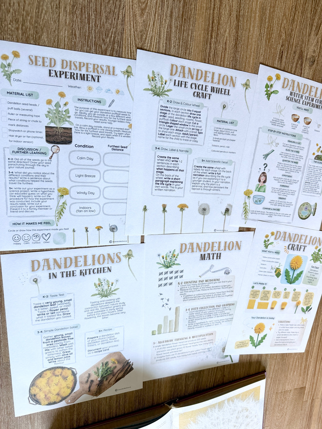 Digital Download | Dandelions Unit Study