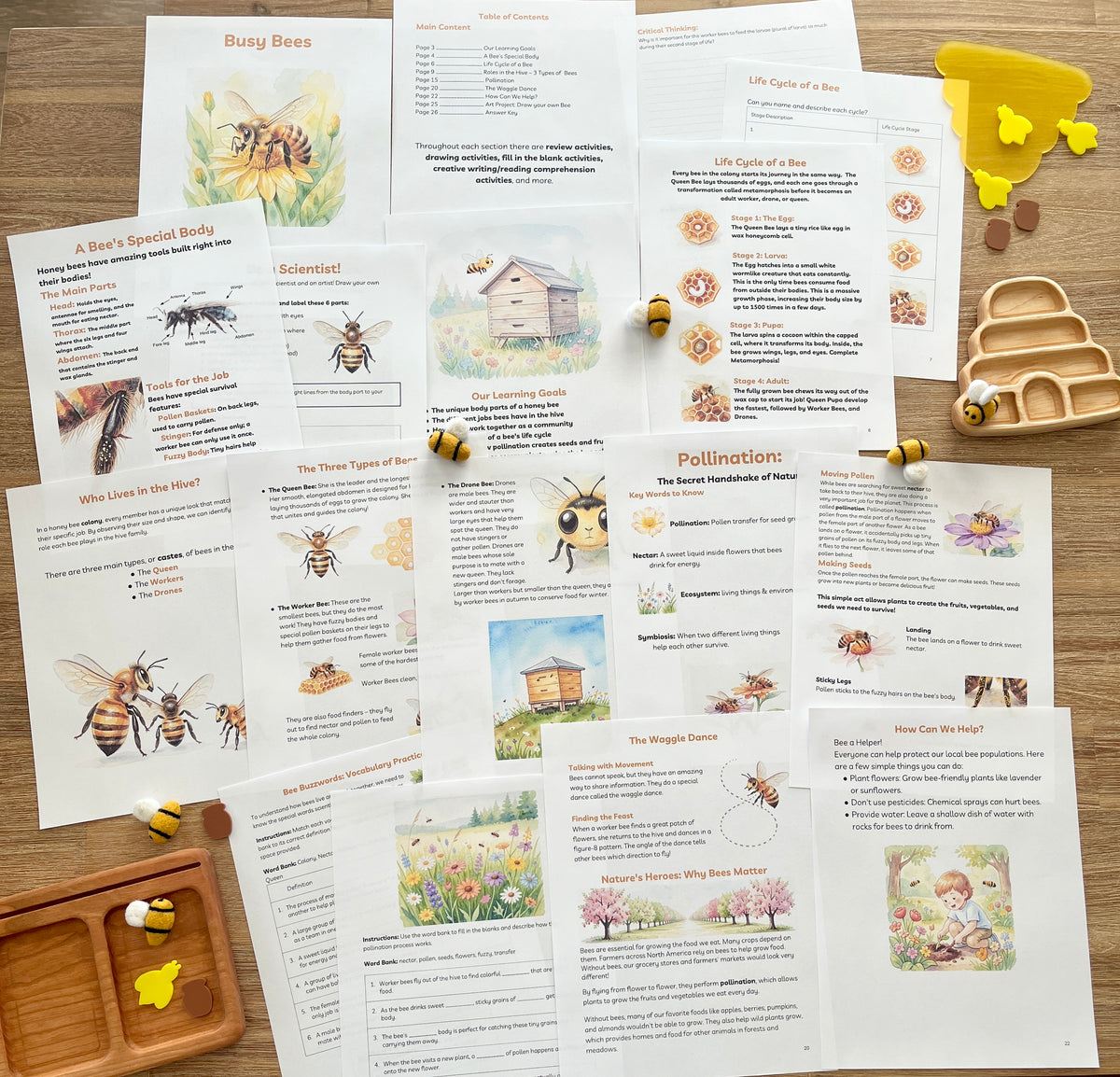 Digital Download | Bees Unit Study featuring illustrated educational pages on bee anatomy, life cycle, pollination, and roles with wooden trays and bee-themed sensory objects, handcrafted homeschool education resources.