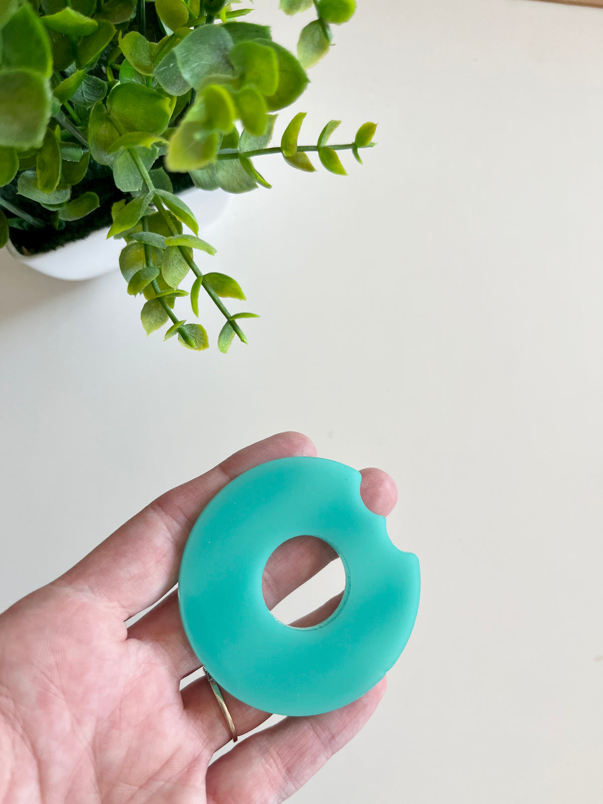 Hand holding a turquoise circular teething toy with a bite-shaped notch near a potted green plant