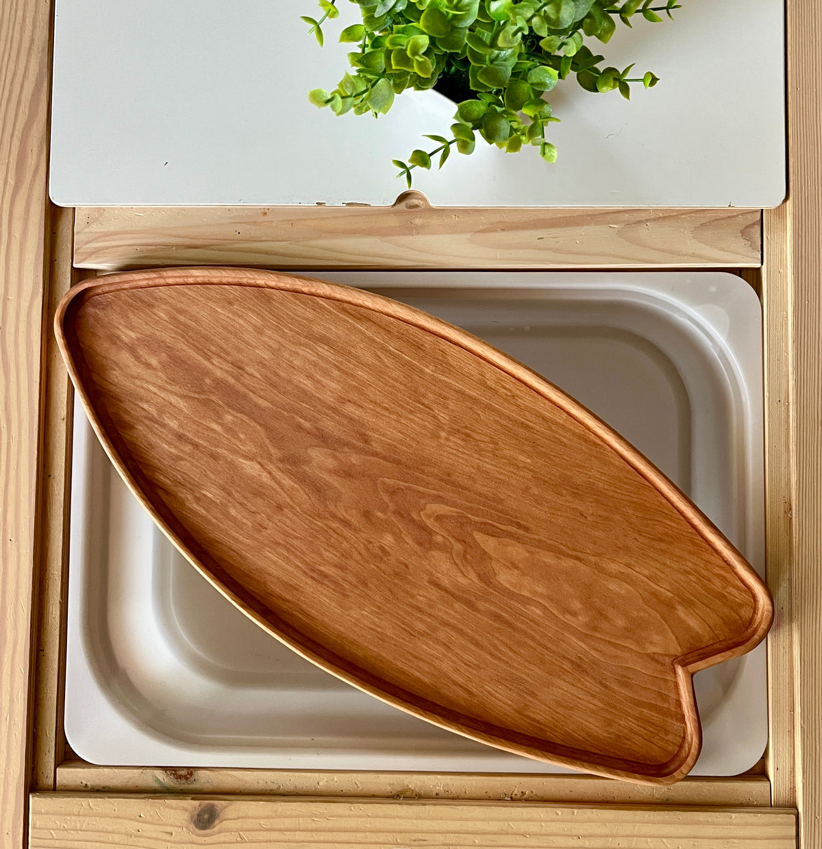 Smooth wooden surfboard-shaped tray resting inside a recessed wooden frame with a green leafy plant above