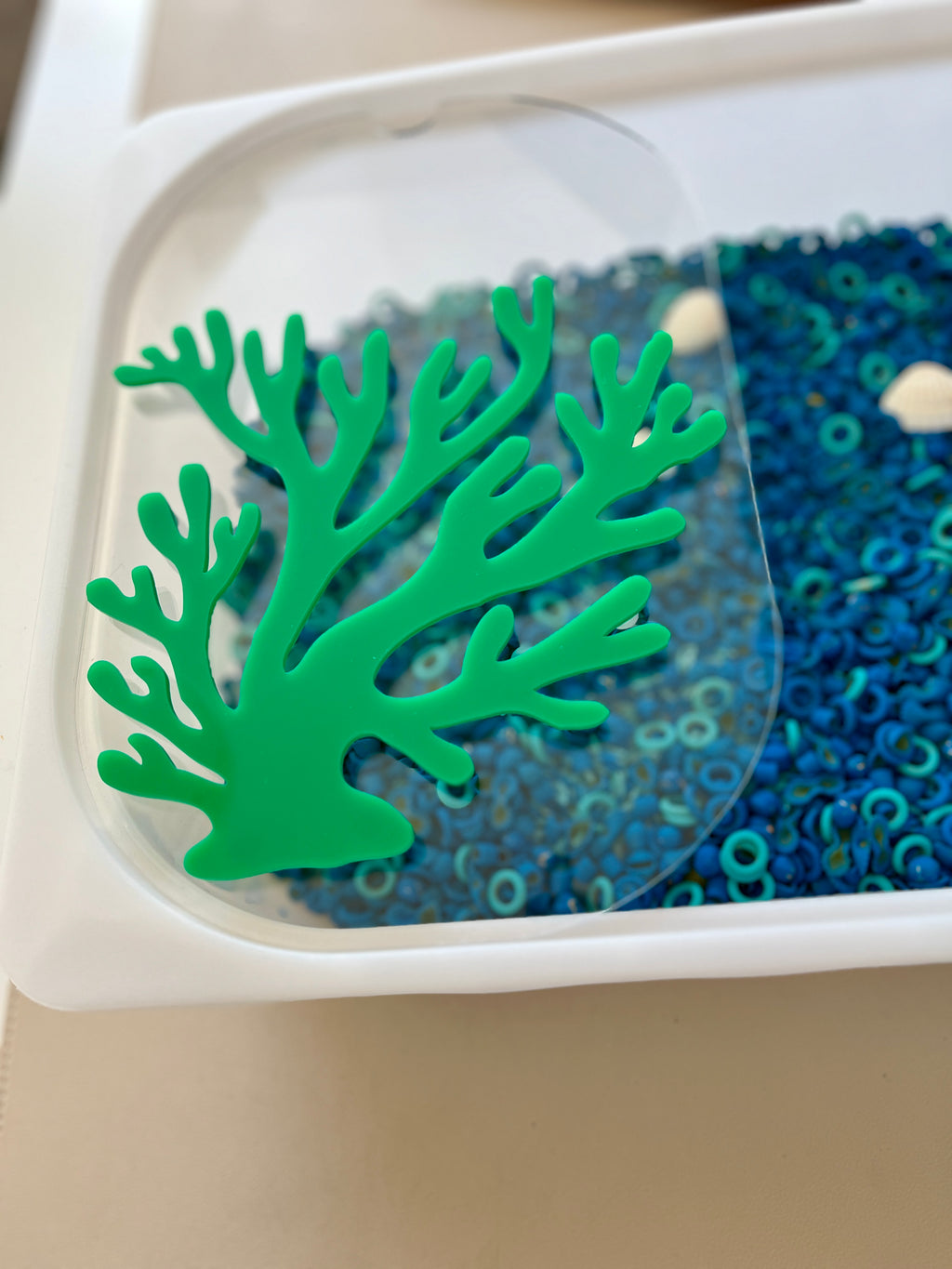 Green coral-shaped plastic decoration on clear lid of white tray filled with small blue circular beads and white shells